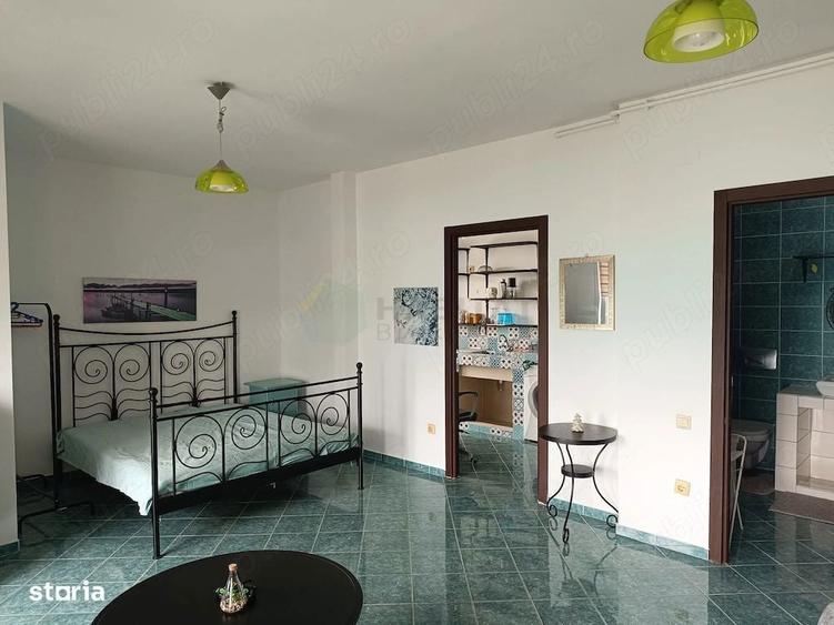 Studio spatios in Cosmopolis / Tunari - 6