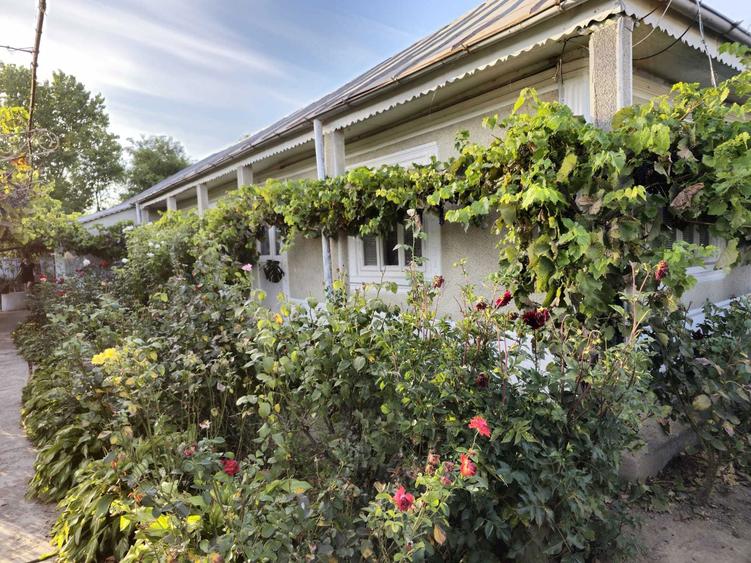 Casa de vanzare in Chilia Veche, Tulcea - 1