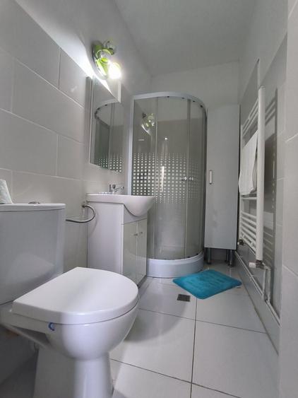 Apartament 4 camere de vanzare Grivitei Buzesti - 12