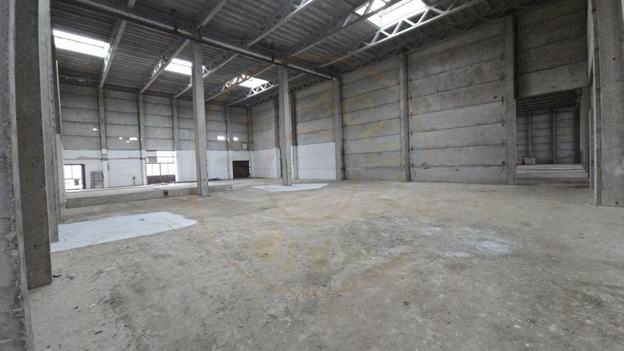 De Vanzare Hala/Depozit - 3