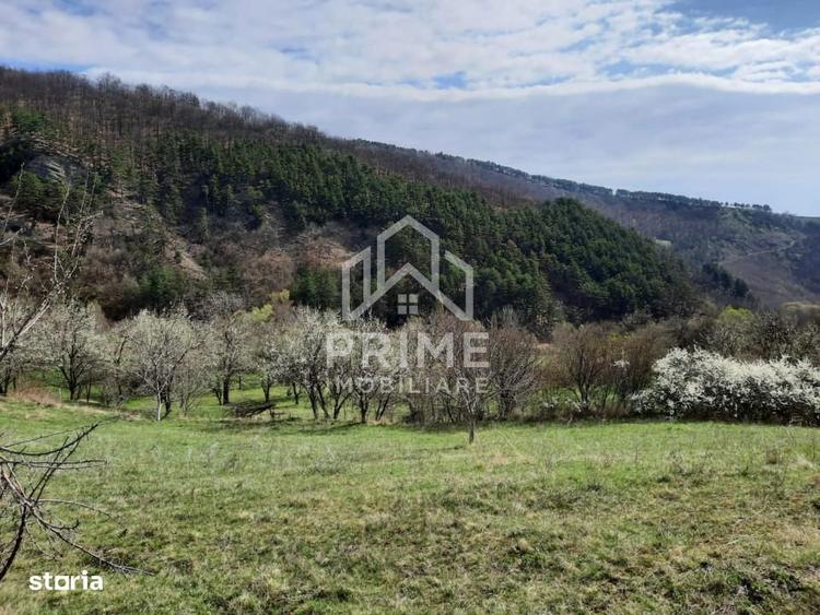 Teren Intravilan 13700 Mp, Inuri, Vintu De Jos - 4