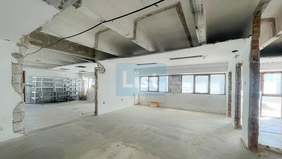 Spatii multiple pentru inchiriat Calea Timisoarei - 9