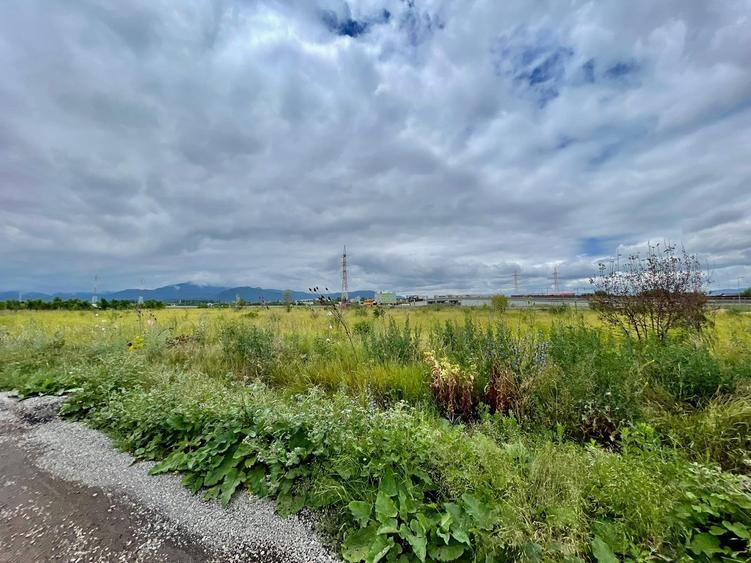 Teren intrare Sanpetru 10.689mp intravilan! - 3