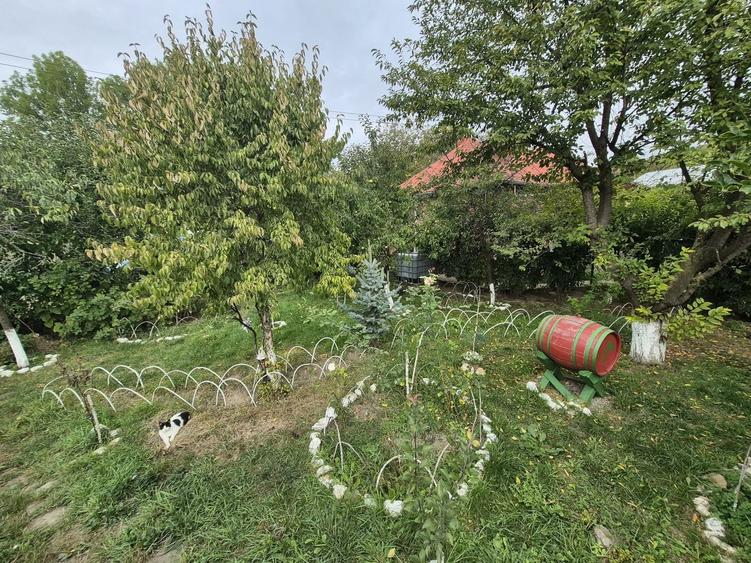 Vila 4 camere + teren 818 mp central Provita de Sus (lângă școală) - 51