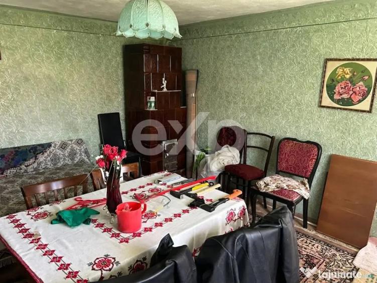 Casa la ?ara cu teren 3940 mp ?i livada zona lini? - 5
