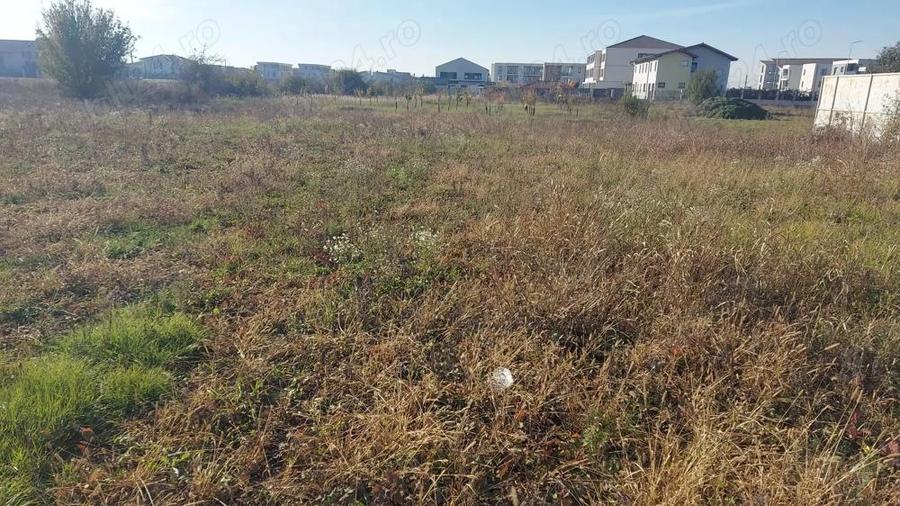 Teren intravilan Dumbravita , Creanga Profi Super - 1