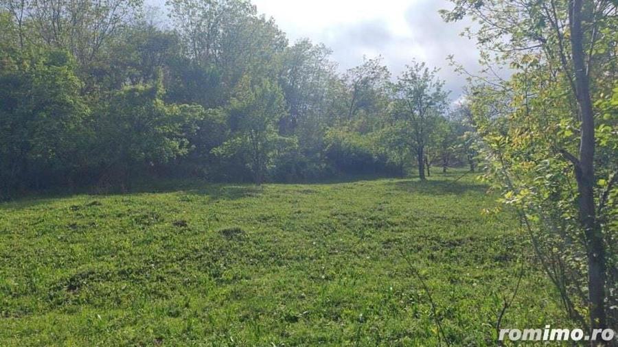 Teren Breaza 4400 mp - 3