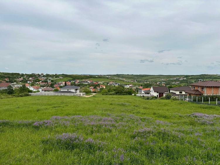 Teren de vanzare , strada Caisilor, zona Dealuri, Oncea - 1