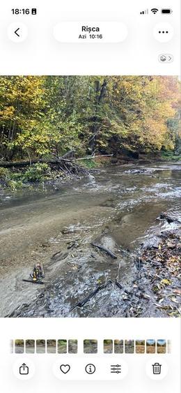 De vanzare Teren tanita 2150 mp - 3