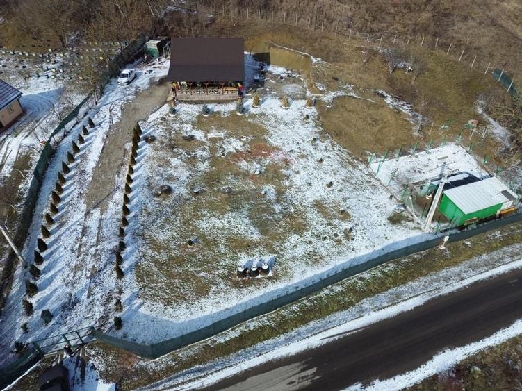 Casă / Vilă Coțofănești Bacău - 4