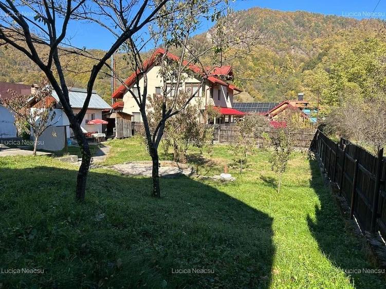 Direct proprietar, vand casa in orasel de munte, Brezoi, jud. Valcea - 9
