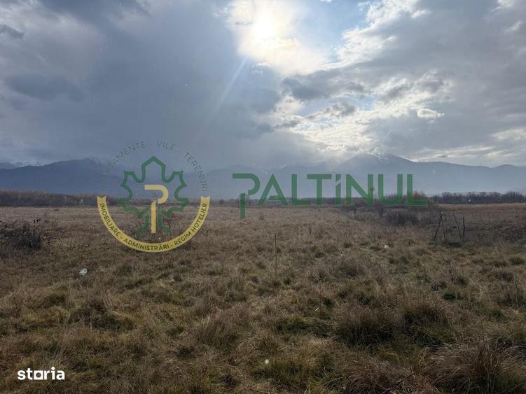 Teren de vanzare 3600 mp, Valea Avrigului, Sibiu, zona turistica cu po - 1