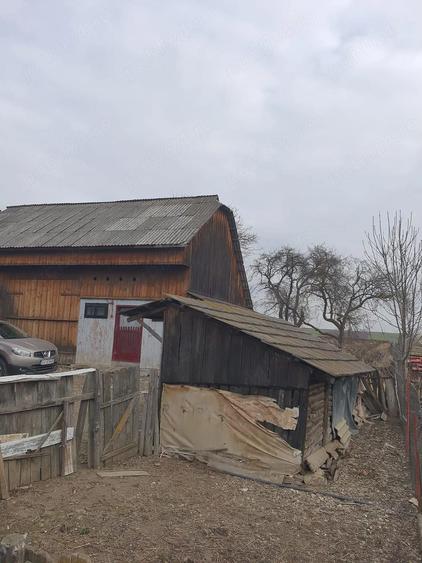 Vand casa Dragoiesti - 7