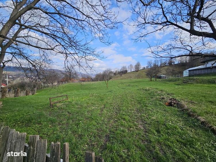 Teren intravilan Comanesti Bacau cu utilitati - 10