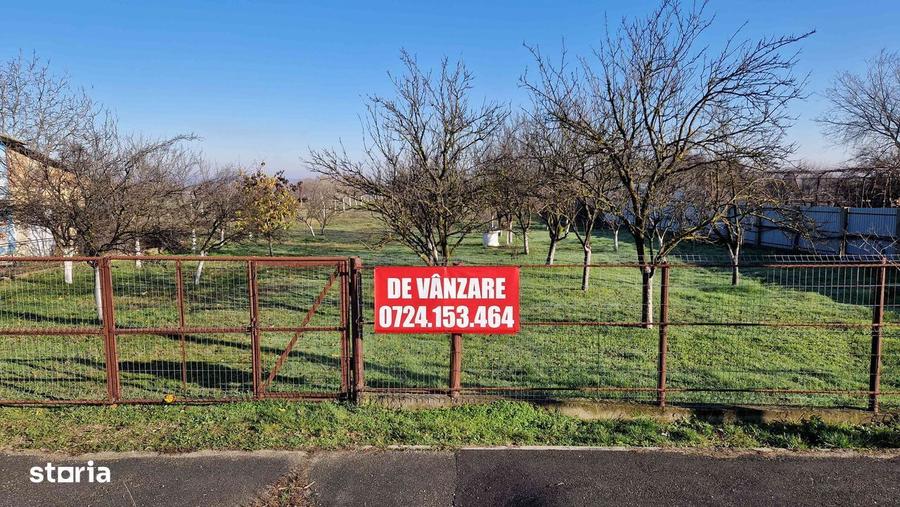 Vanzare teren 9654 mp, deschidere 27m, comuna Dobra, sat Dobra - 8