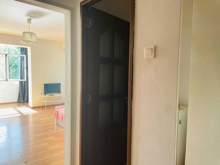 Proprietar inchiriez garsoniera vesela si luminoasa, chiar la metrou Costin Georgian, LIBERA, pet friendly - 8
