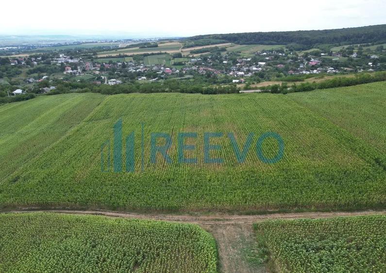 Teren de 3.600 mp Racova - 10