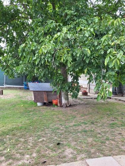 VANZARE  PROPRIETATE CIOFLICENI /TEREN GENEROS/POTENTIAL RIDICAT - 5