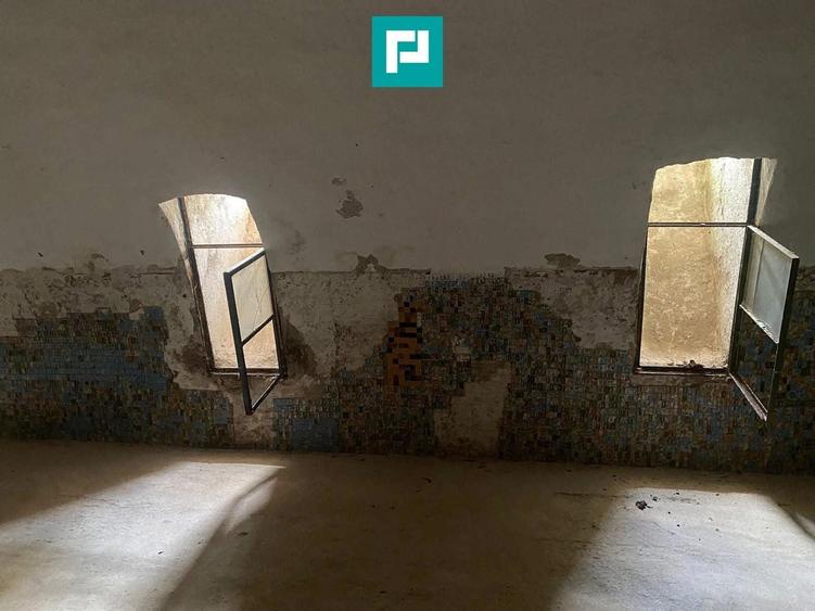 Conac nobiliar de secol XIX cu 8 camere în Maciova - 26