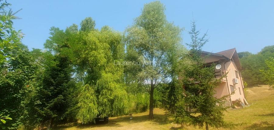 Zona Slanic Prahova,in mijlocul naturii Zona Slanic Prahova,in mijlocul naturii
