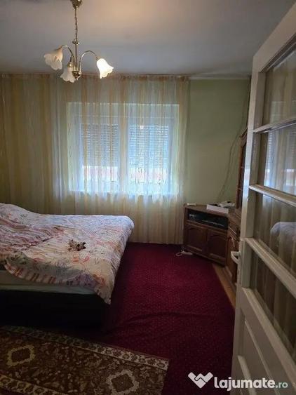 Casa plus anexa parter, Tamaseu central, gaz, sosea , ter 3040 mp - 5