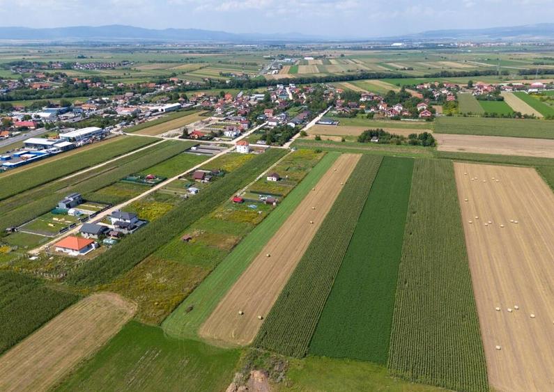 Teren de vanzare - Zona Stupini - COMISION 0% - 4