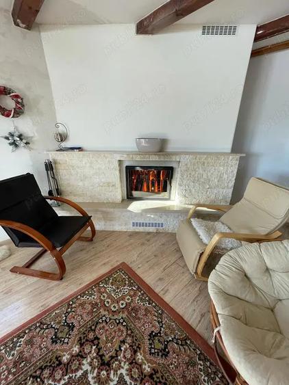 Vand cabana la Belis - 4