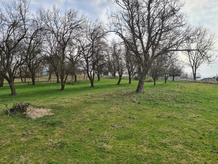 Casa de vanzare in Com. Taga - 2