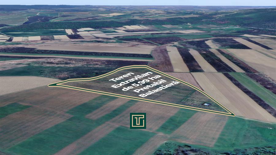 Teren extravilan de 5,99 ha la 200 m de Mureș, ideal pentru balastieră în Ususău - 3