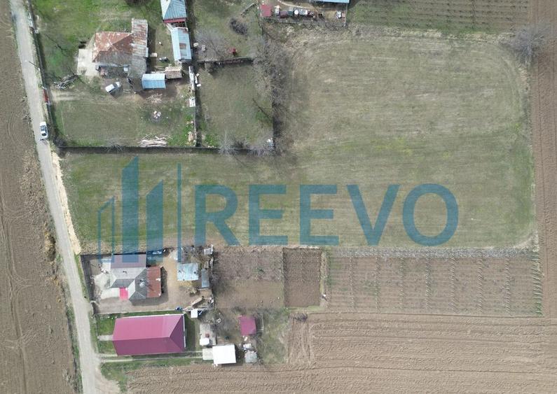 Teren de vanzare, Sat Bazga, Com. Horge?ti, Bacau - 8