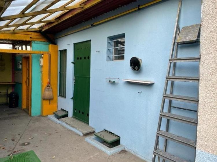 Teren + Casa batraneasca - zona Calea Calarasilor - 7