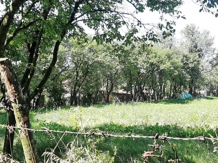 Casă si teren de vanzare in Rediu - 2