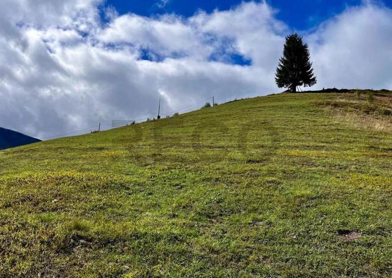 RECO Teren intravilan in Arieseni - 5