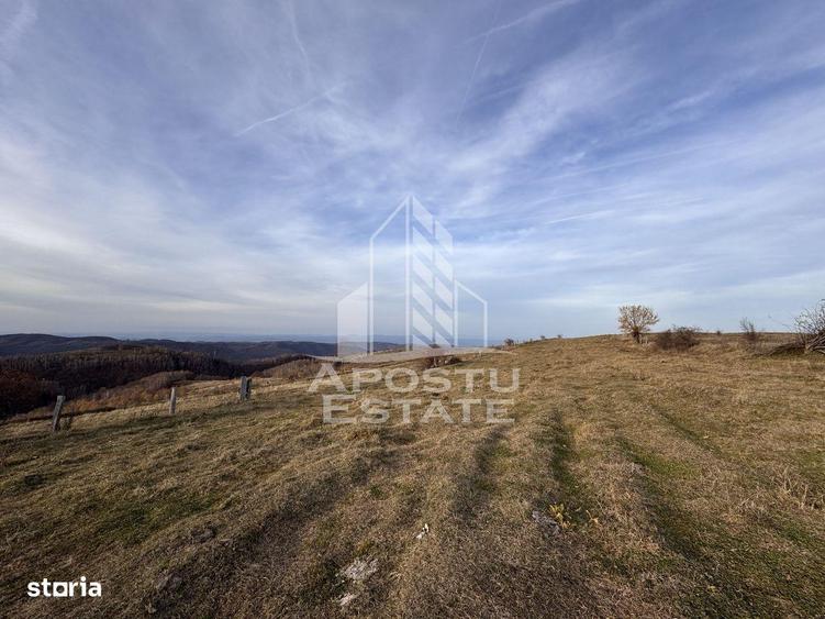 Casa batraneasca la munte, in Hunedoara, Tinutul Padurenilor, Cerbal - 3