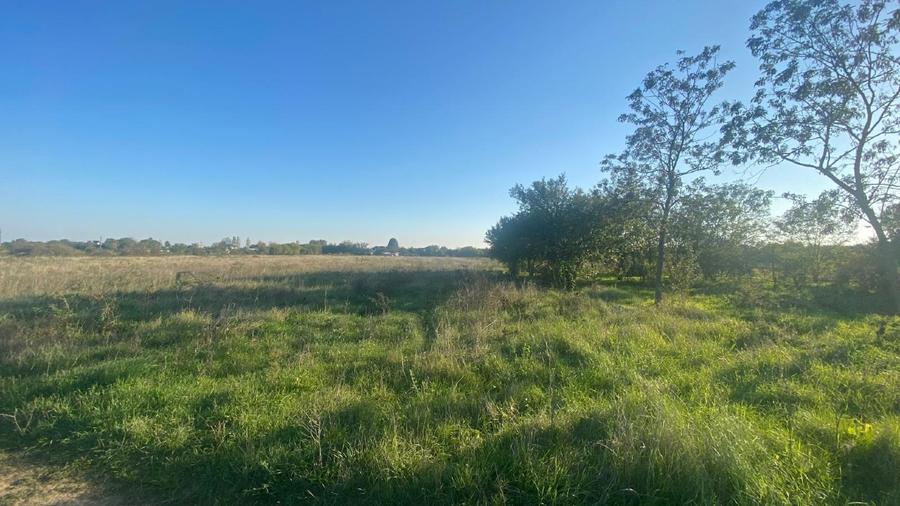 Butimanu – Teren ideal pentru casă, 900 mp, deschidere mare 38 m – 11 euro - 6