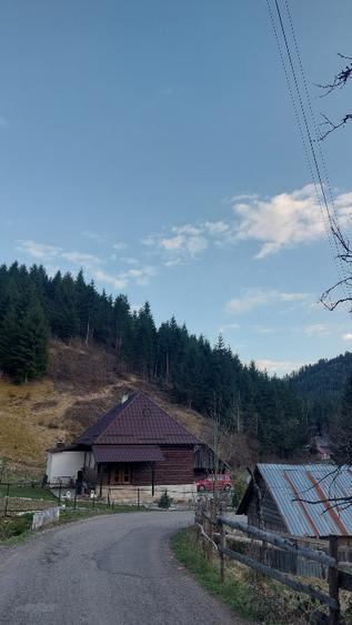 Teren intravilan de vânzare  - 9