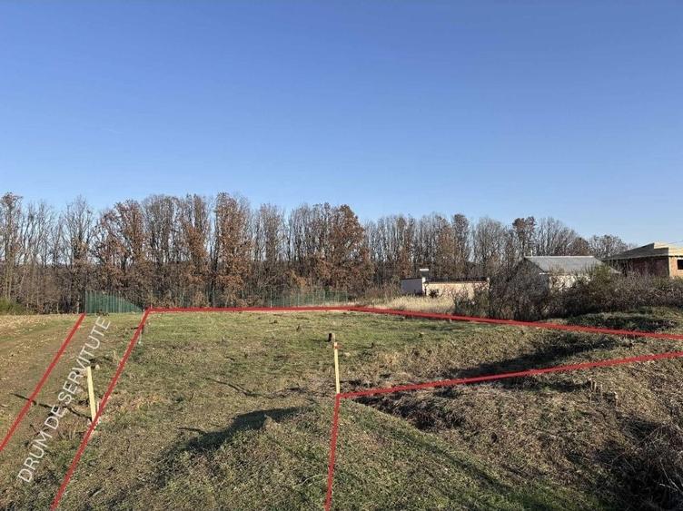 Vand Teren Mosoaia. - 7