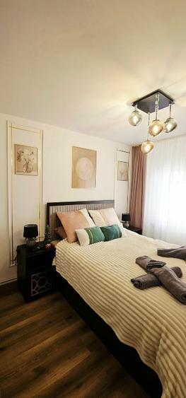 Proprietar, vand apartament, 3 dormitoare,1living,2 bai, Centrul nou, mall Afi, - 9