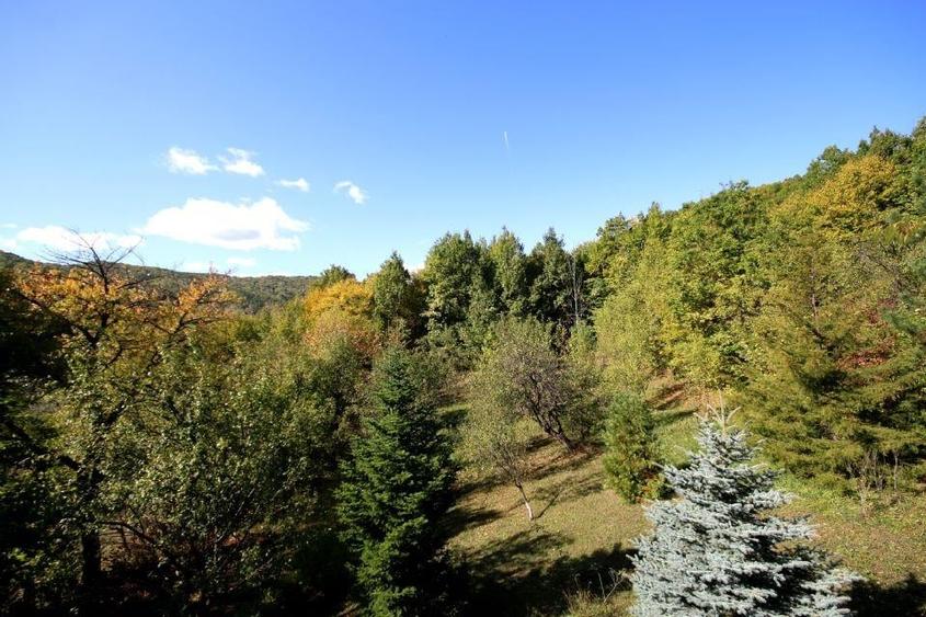 Vanzare vila Valenii de Munte - Drajna de Sus, judet Prahova - 17