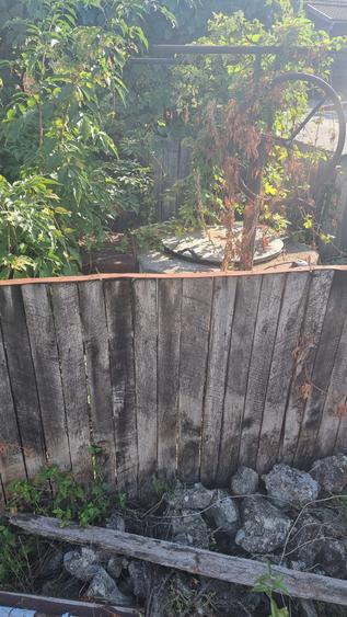 Casa cu 1180 mp teren in comuna Bunesti - 12