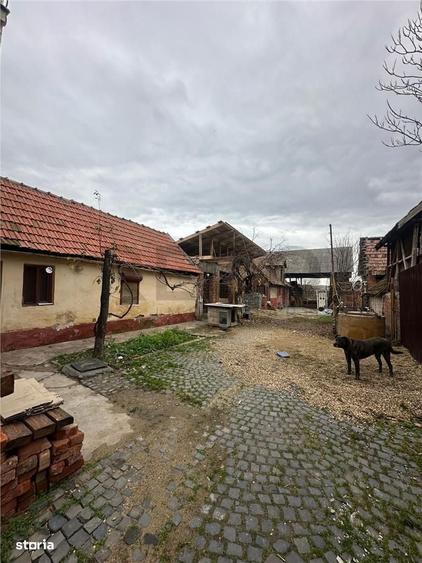 RECO Casa de vanzare in Biharia - 1