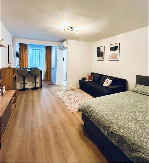 De inchiriat garsoniera | Brazda lui Novac - 3