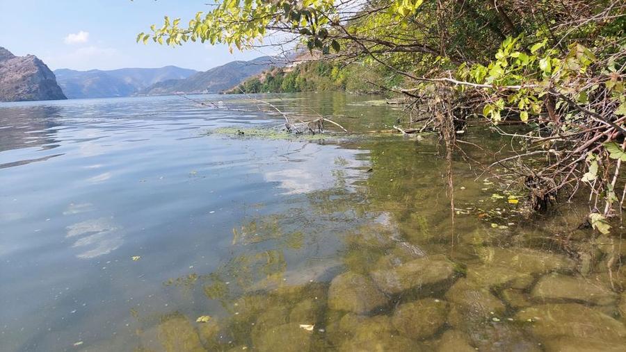 Teren Svinita Clisura Dunarii - 7