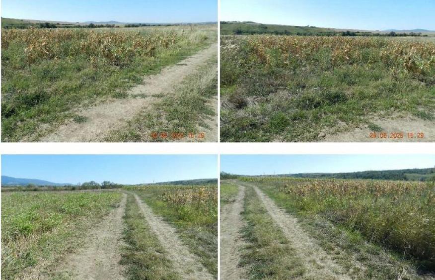 Teren extravilan arabil, situat in Oravita, Jud Caras-Sev... - 3