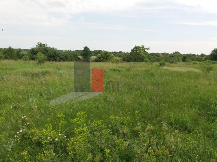 Buftea Teren cu iesire la lac - 4