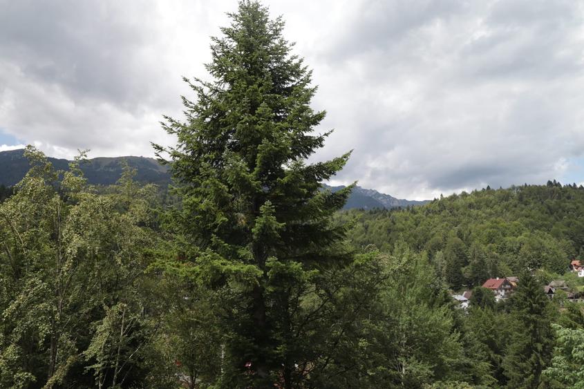 Proiect Nou! Apartament cu 3 Camere, 2 bai! Lift!!! - 1