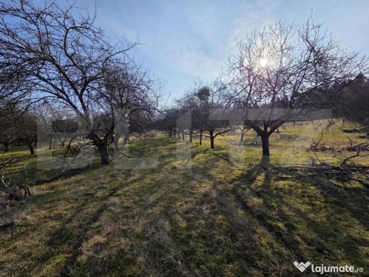 Teren intravilan de vanzare 4.200 mp Zona Restauran - 3