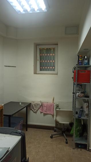 Ferdinand - Mihai Bravu (Fluierului-Medlife ) 3 camere in zona de vile - 19