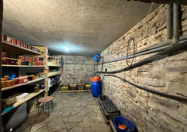 Casa impresionanta , 250 mp , cu gradina generoasa 1000 mp , - 17