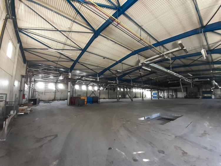Berceni, hale dimensiuni 1800mp, 2750mp si 2900, acces facil - 5